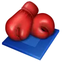 Boxing Betting Guide